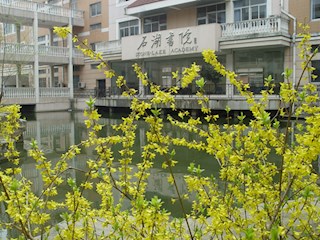 校园一景
