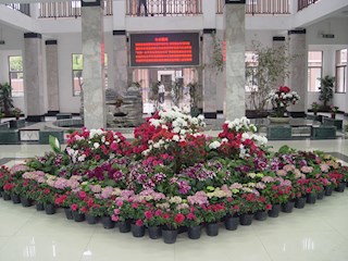 校园一景