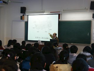 名师教学展示