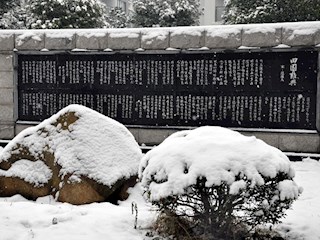 校园雪景之三