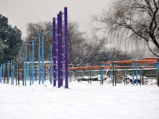 校园雪景之五