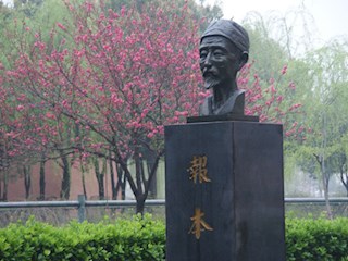 校园美景之四