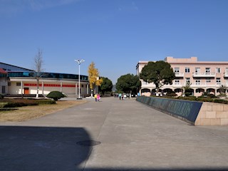 校园美景十五