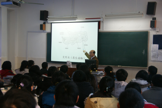 名师教学展示