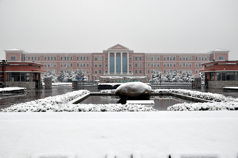 校园雪景之一