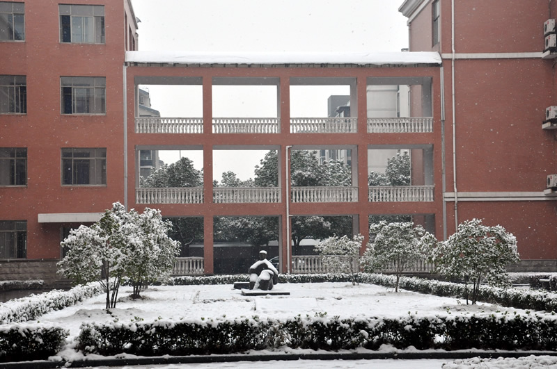 校园雪景之二