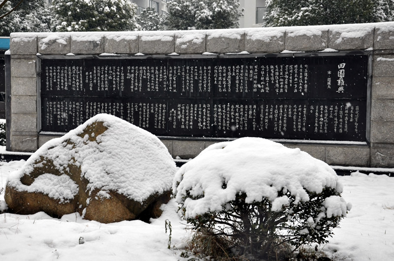 校园雪景之三