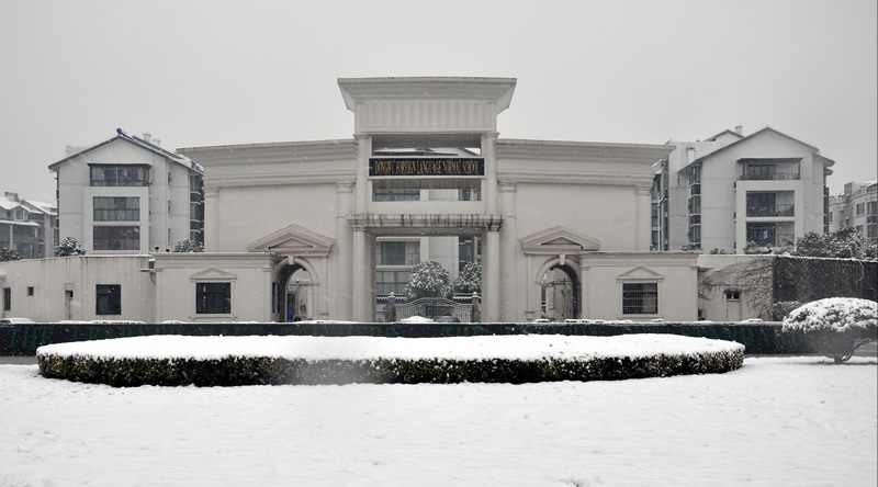 校园雪景之四