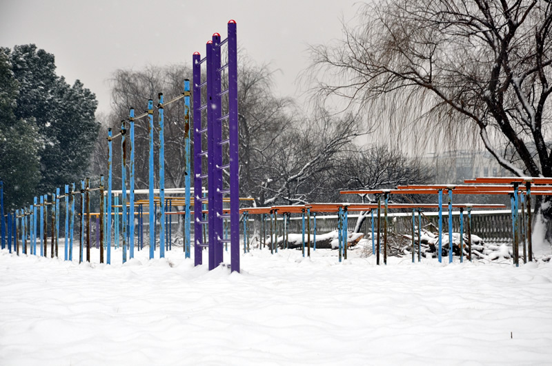 校园雪景之五