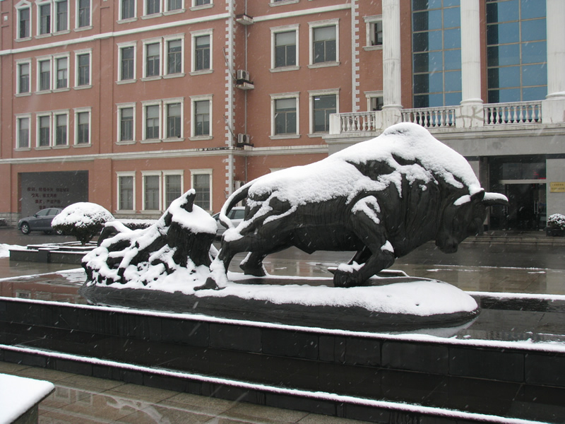 校园雪景之六