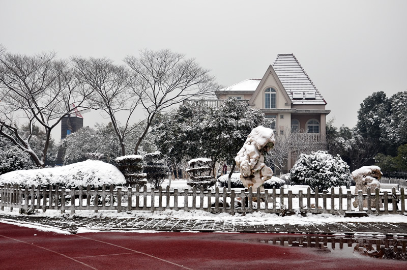校园雪景之七
