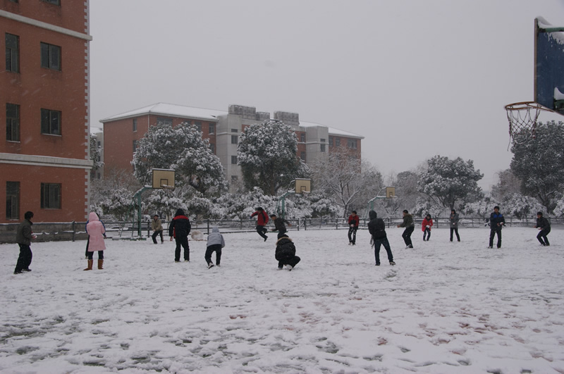 校园雪景之八