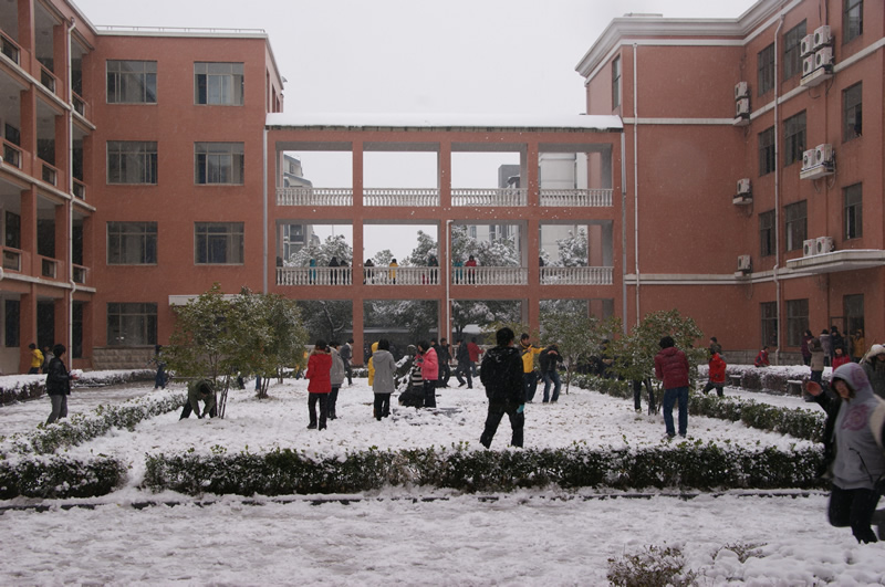校园雪景之九
