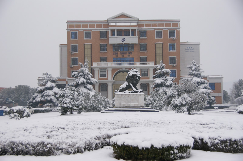 校园雪景之十一
