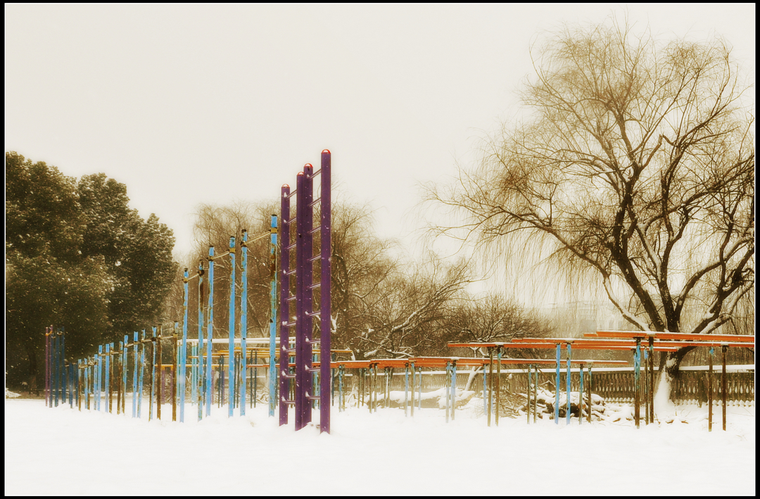 校园雪景