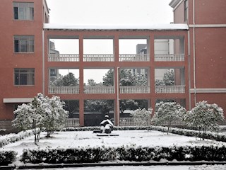 校园雪景之二